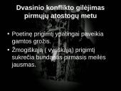 Pasaulėžiūros ir pašaukimo problemos romane „Altorių šešėly”  4 puslapis