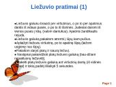 Artikuliacinio aparato pratimai 8 puslapis