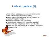 Artikuliacinio aparato pratimai 9 puslapis