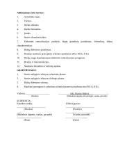 Stoties automatizavimas techninemis priemonemis 4 puslapis