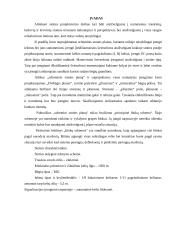 Stoties automatizavimas techninemis priemonemis 5 puslapis