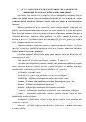 Stoties automatizavimas techninemis priemonemis 6 puslapis