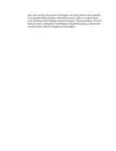 Xiaomi SSGG ir PEST analizė 3 puslapis