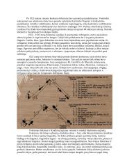 Fokstrotas 3 puslapis