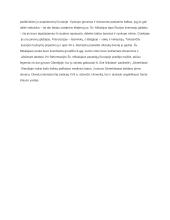 Iš kur kilo Kalėdų tradicijos? 2 puslapis