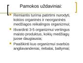 Gausybė reikalingų maisto medžiagų 2 puslapis