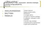 Gausybė reikalingų maisto medžiagų 12 puslapis