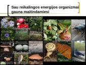 Gausybė reikalingų maisto medžiagų 3 puslapis