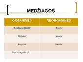 Gausybė reikalingų maisto medžiagų 4 puslapis