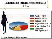 Gausybė reikalingų maisto medžiagų 6 puslapis