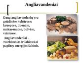 Gausybė reikalingų maisto medžiagų 7 puslapis