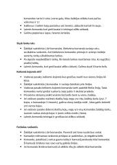 Įvairūs žaidimai vaikams 3 puslapis