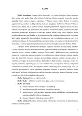 Lietuvos valstybės skolos analizė 2 puslapis