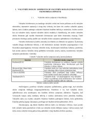 Lietuvos valstybės skolos analizė 3 puslapis