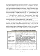 Lietuvos valstybės skolos analizė 6 puslapis