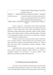 Motyvavimo priemonės ir būdai 12 puslapis