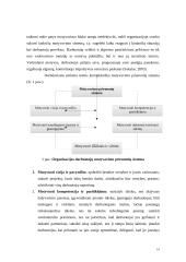 Motyvavimo priemonės ir būdai 13 puslapis