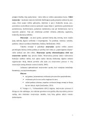 Motyvavimo priemonės ir būdai 4 puslapis