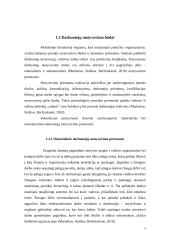 Motyvavimo priemonės ir būdai 5 puslapis