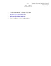 Potencialios ekstremalios situacijos Lietuvoje su priežastimis 17 puslapis