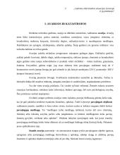 Potencialios ekstremalios situacijos Lietuvoje su priežastimis 5 puslapis