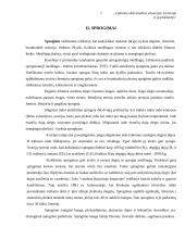 Potencialios ekstremalios situacijos Lietuvoje su priežastimis 7 puslapis