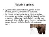 Stumbro ekologinė niša 2 puslapis