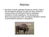 Stumbro ekologinė niša 3 puslapis