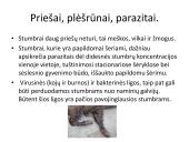 Stumbro ekologinė niša 5 puslapis