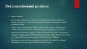 Sandėlininko darbo vieta 17 puslapis