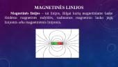 Elektros srovės magnetinis laukas 6 puslapis