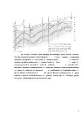 Geologiniai tyrinėjimai 9 puslapis