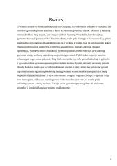 Gyvenimo prasmės problema 6 puslapis