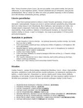 Liudo Vasario ir Liucės santykiai 2 puslapis