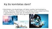 Ekonomikos komitetas 3 puslapis