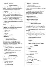 Kvėpavimo takų teorija 3 puslapis