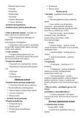 Kvėpavimo takų teorija 4 puslapis