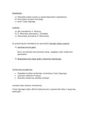 Pirmasis pasaulinis karas (konspektai) 2 puslapis