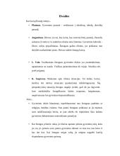 Gyvenimo tikslas ir prasmė. Filosofinis požiūris 11 puslapis