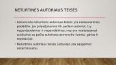Teisėtas programų naudojimas, autorių teisės 3 puslapis