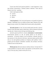 Gyvulių laikymo higiena 12 puslapis