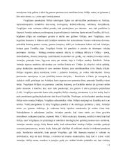 Orfėjo mito transformacijos J. Fowles kūryboje 14 puslapis