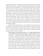 Orfėjo mito transformacijos J. Fowles kūryboje 15 puslapis