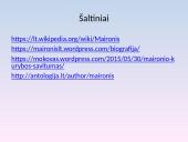 Maironis - biografija, kūriniai 10 puslapis