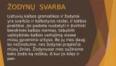 Lietuvių kalbos žodynai ir jų svarba 6 puslapis