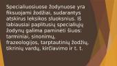 Lietuvių kalbos žodynai ir jų svarba 9 puslapis
