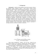 Honingavimas, superfinišavimas, pritrynimas 13 puslapis