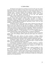 Honingavimas, superfinišavimas, pritrynimas 20 puslapis