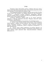 Honingavimas, superfinišavimas, pritrynimas 3 puslapis