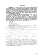 Honingavimas, superfinišavimas, pritrynimas 4 puslapis